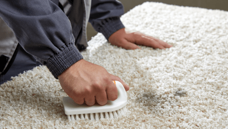 Professional Rug Cleaning Queenscliff